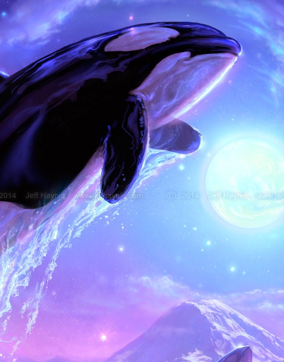 Art Print, Touch the Sky, Orca